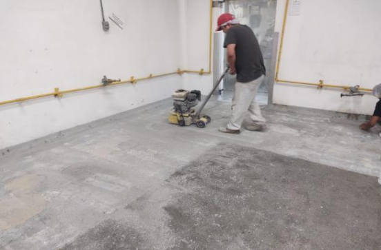 PLANTA DE ALIMENTOS ADHOC - image1